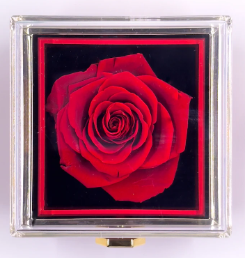 RosaSpin™ - The Revolving Rose Gift